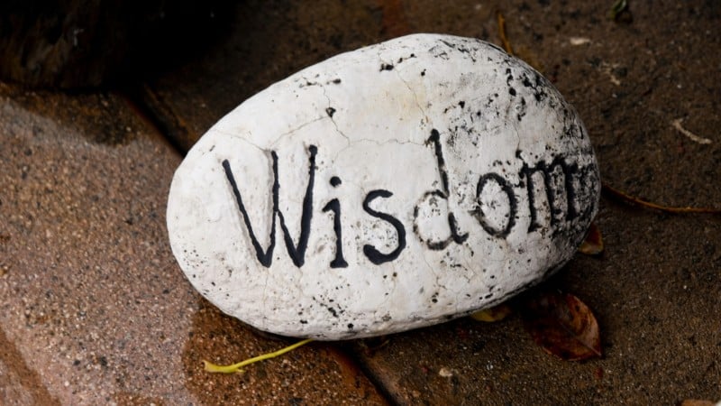 Wisdom