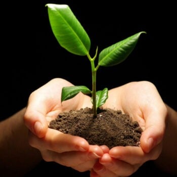 Growth